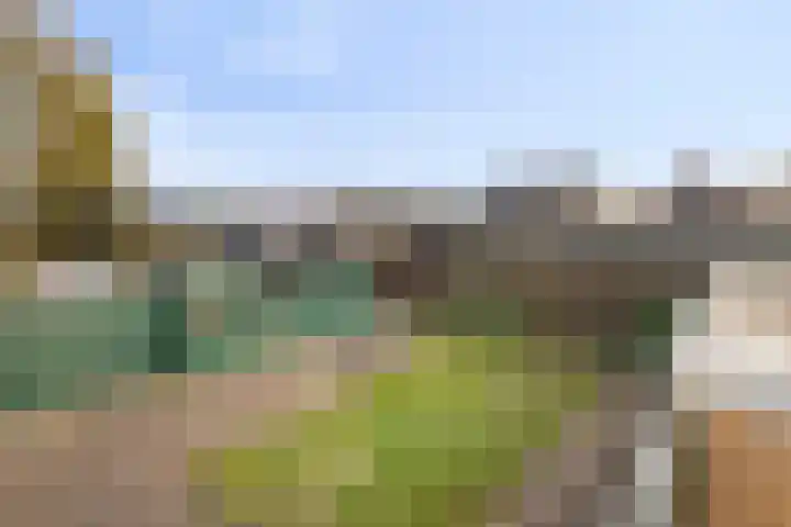 Steenstraat 26 Wolvega thumbnail 29