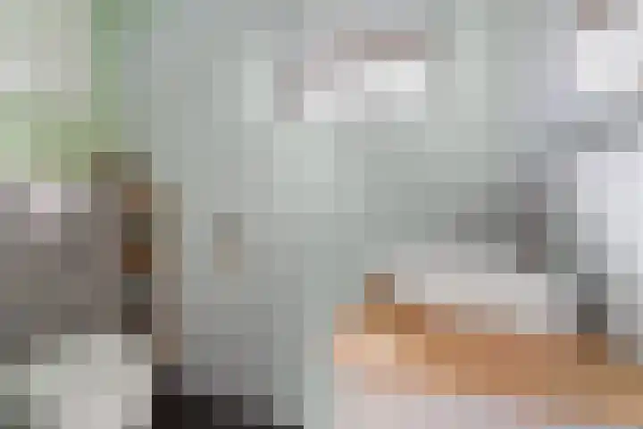 Steenstraat 4 Didam thumbnail 26