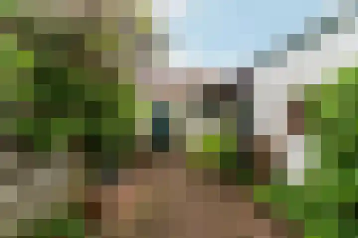 Steenstraat 4 Didam thumbnail 30