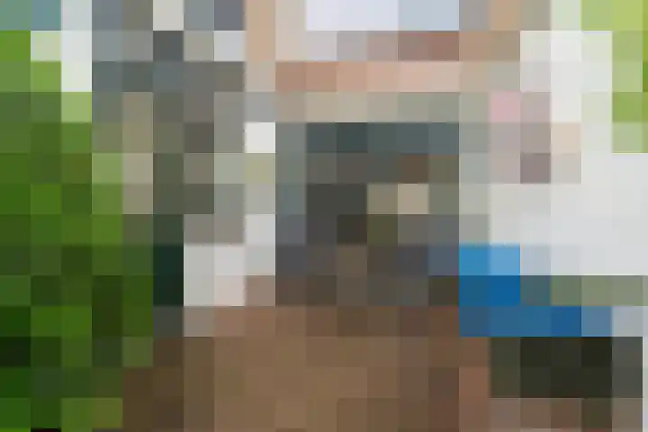Steenstraat 4 Didam thumbnail 31