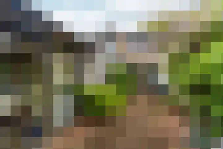 Steenstraat 4 Didam thumbnail 32