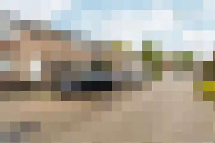 Steenstraat 4 Didam thumbnail 35