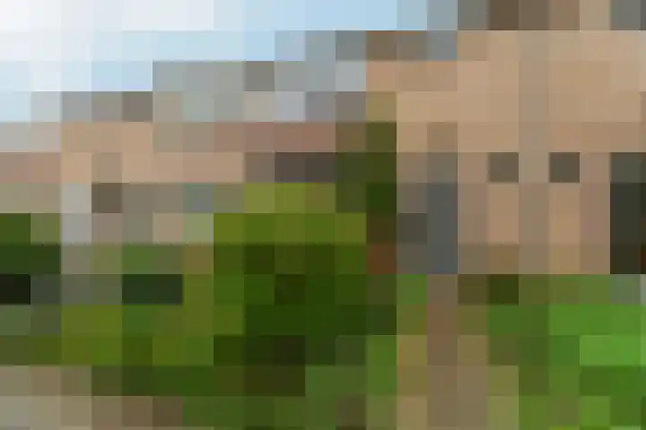 Steenstraat 4 Didam thumbnail 36