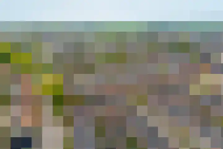 Steenstraat 4 Didam thumbnail 43