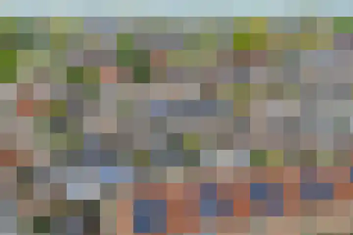 Steenstraat 4 Didam thumbnail 44