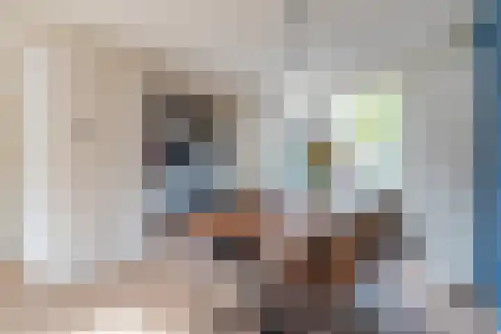 Steenstraat 4 Eersel thumbnail 12