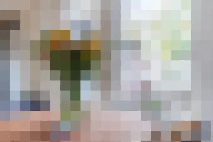 Steenstraat 4 Eersel thumbnail 13