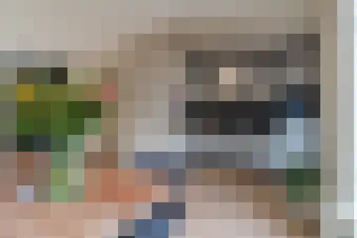 Steenstraat 4 Eersel thumbnail 15
