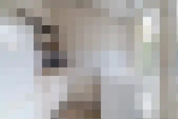 Steenstraat 4 Eersel thumbnail 20
