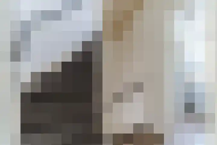 Steenstraat 4 Eersel thumbnail 23