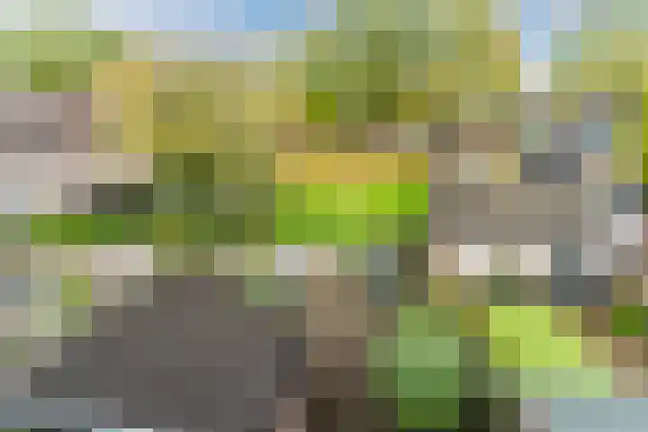 Steenstraat 4 Eersel thumbnail 40