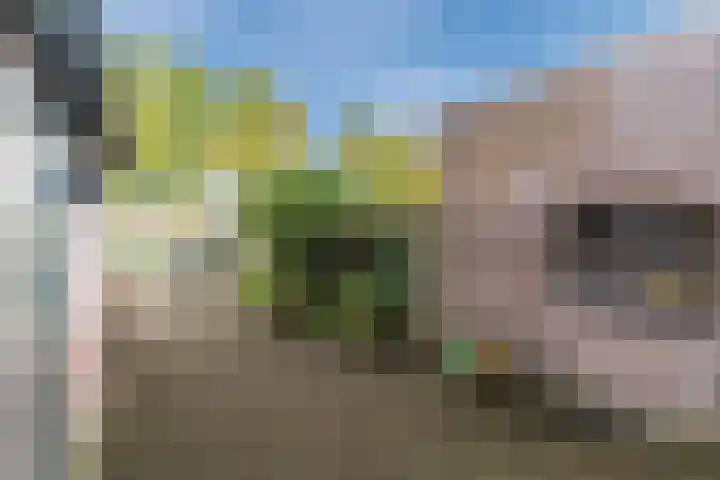 Steenstraat 4 Eersel thumbnail 41