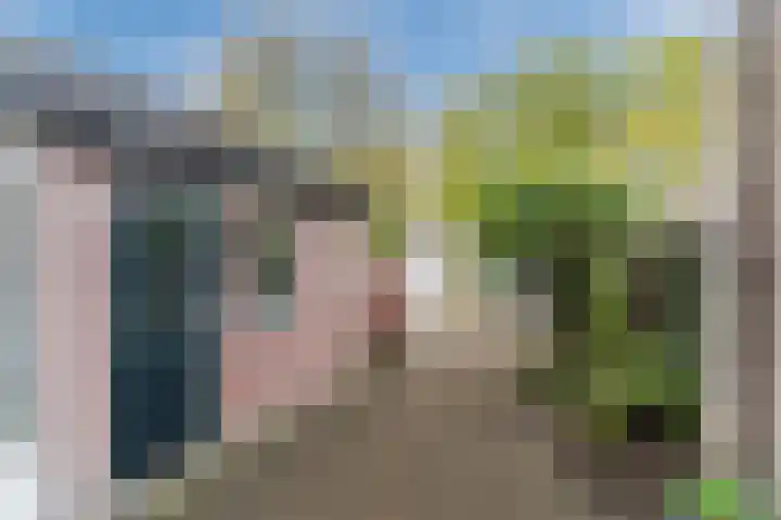 Steenstraat 4 Eersel thumbnail 42