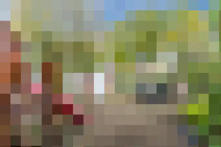 Steenstraat 4 Eersel thumbnail 43