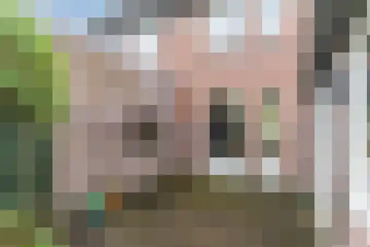 Steenstraat 4 Eersel thumbnail 46