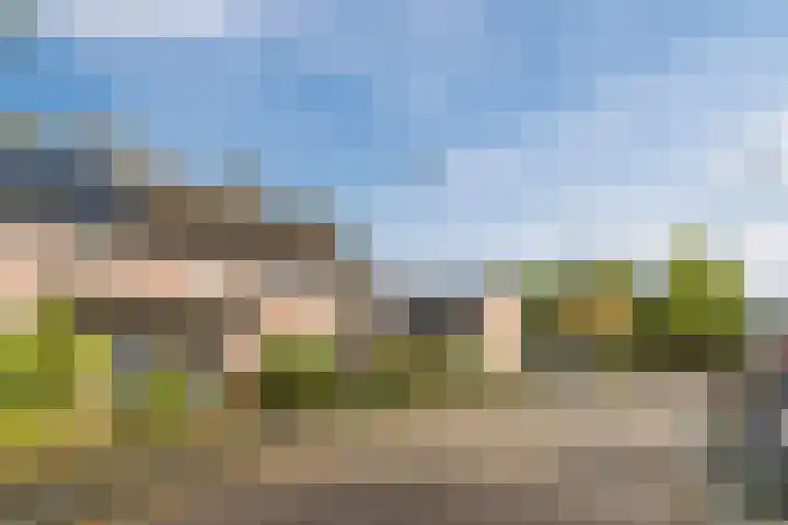 Steenstraat 4 Eersel thumbnail 47