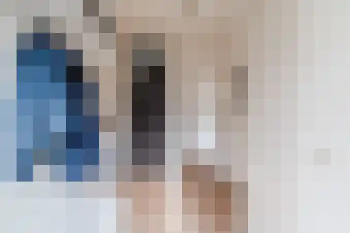 Steenstraat 4 Eersel thumbnail 5