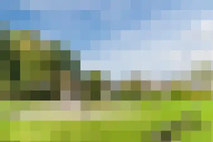 Steenstraat 4 Eersel thumbnail 51