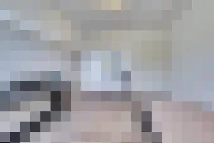 Steenstraat 52 Eersel thumbnail 29