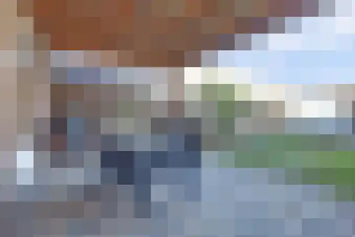 Steenstraat 52 Eersel thumbnail 38