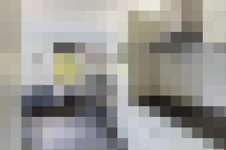 Steenstraat 77 Wijk bij Duurstede thumbnail 5
