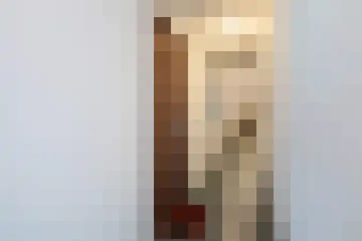 Steenstraat 77 Wijk bij Duurstede thumbnail 6