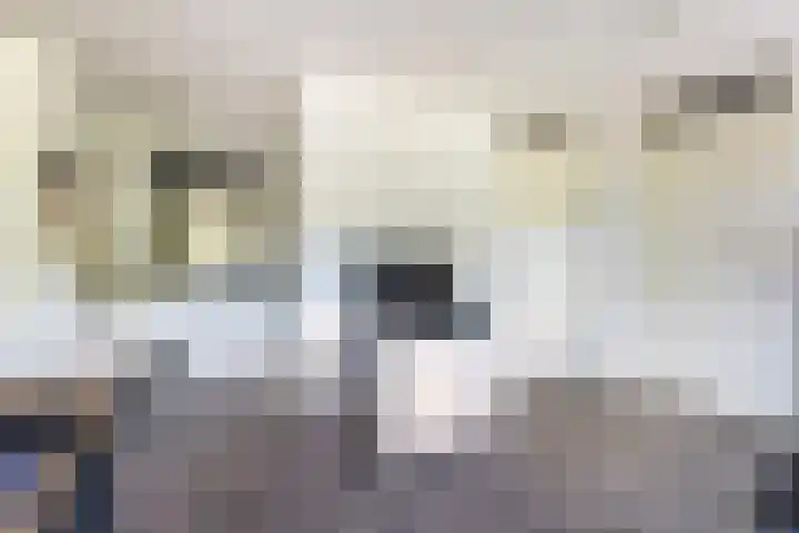 Steenstraat 77 Wijk bij Duurstede thumbnail 7