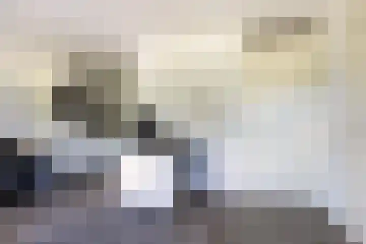 Steenstraat 77 Wijk bij Duurstede thumbnail 8