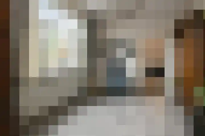 Steenstraat 93 Panningen thumbnail 12