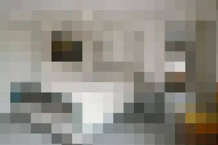 Steenstraat 93 Panningen thumbnail 15