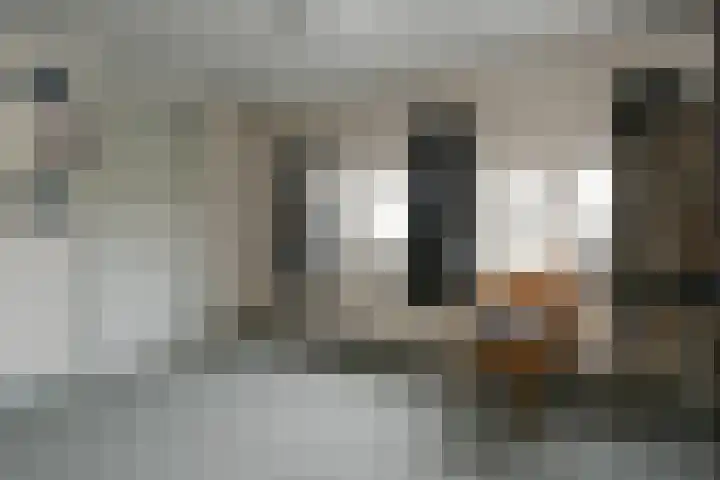 Steenstraat 93 Panningen thumbnail 16