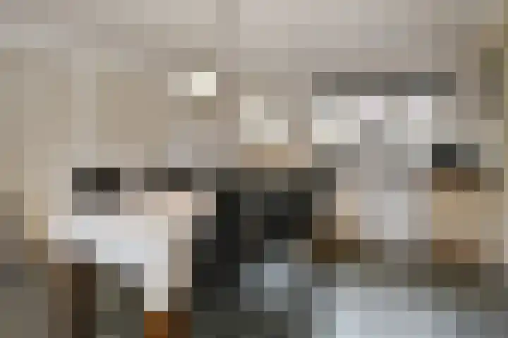 Steenstraat 93 Panningen thumbnail 8