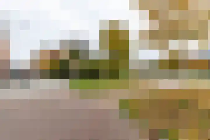 Steentilkade 10 a Groningen thumbnail 31