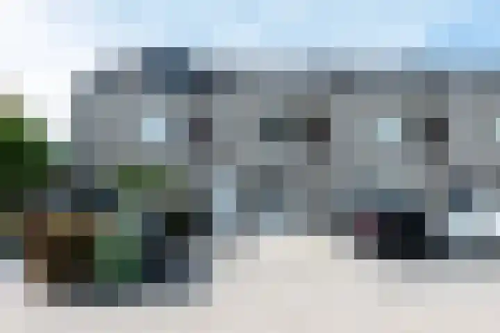 Steenuil 12 Bosschenhoofd