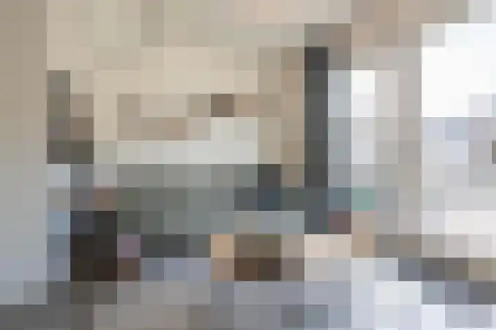 Steenuil 12 Bosschenhoofd thumbnail 11