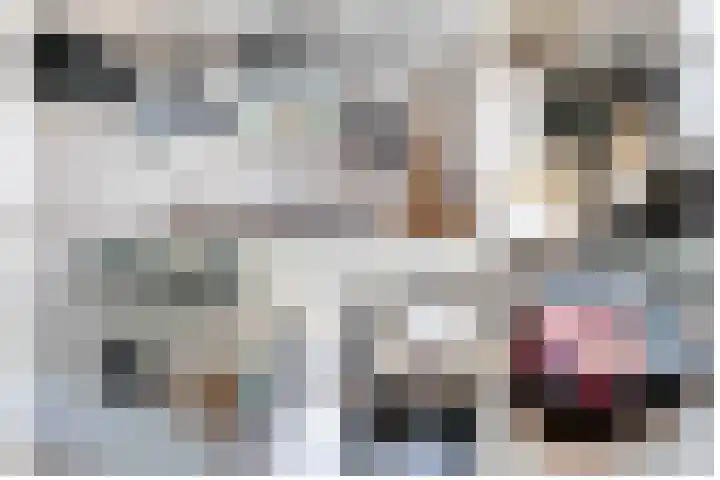 Steenuil 12 Bosschenhoofd thumbnail 12