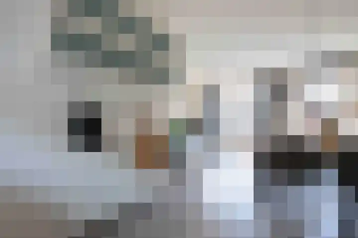 Steenuil 12 Bosschenhoofd thumbnail 16