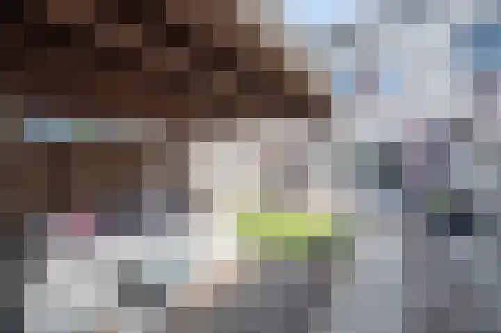 Steenuil 12 Bosschenhoofd thumbnail 19