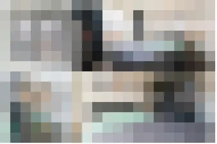 Steenuil 12 Bosschenhoofd thumbnail 23