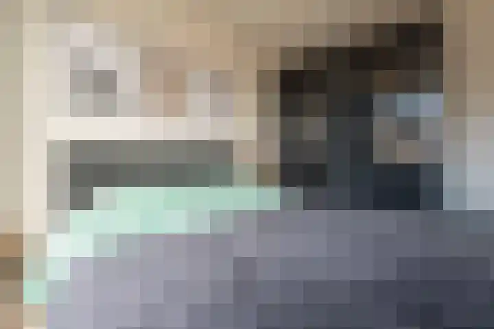 Steenuil 12 Bosschenhoofd thumbnail 25