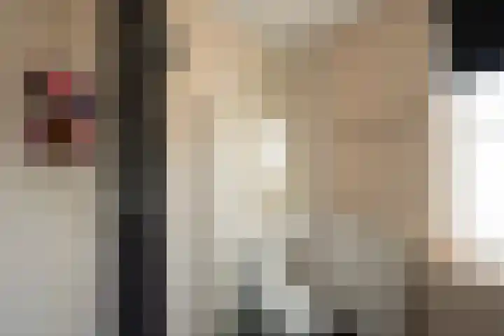 Steenuil 12 Bosschenhoofd thumbnail 28