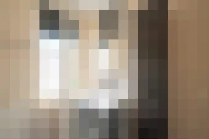 Steenuil 12 Bosschenhoofd thumbnail 29