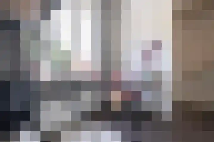Steenuil 12 Bosschenhoofd thumbnail 31