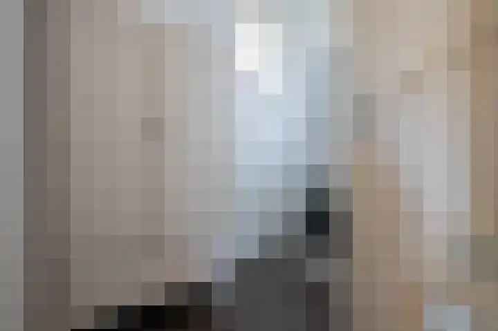 Steenuil 12 Bosschenhoofd thumbnail 32
