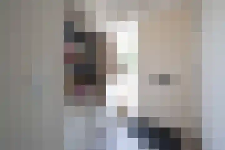 Steenuil 12 Bosschenhoofd thumbnail 5