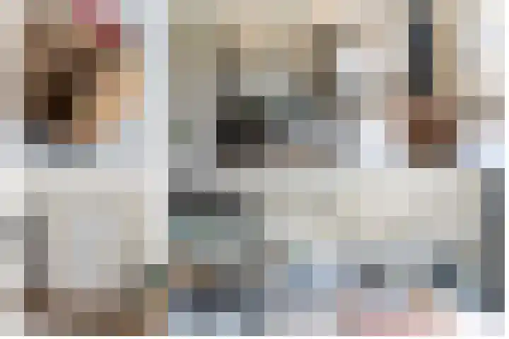 Steenuil 12 Bosschenhoofd thumbnail 7