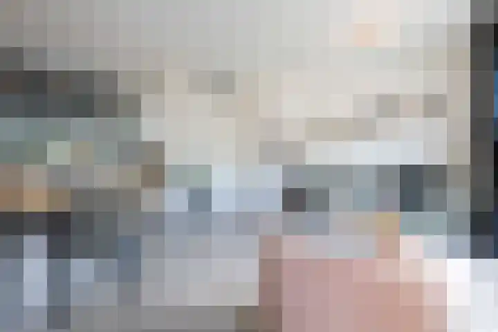 Steenuil 12 Bosschenhoofd thumbnail 9