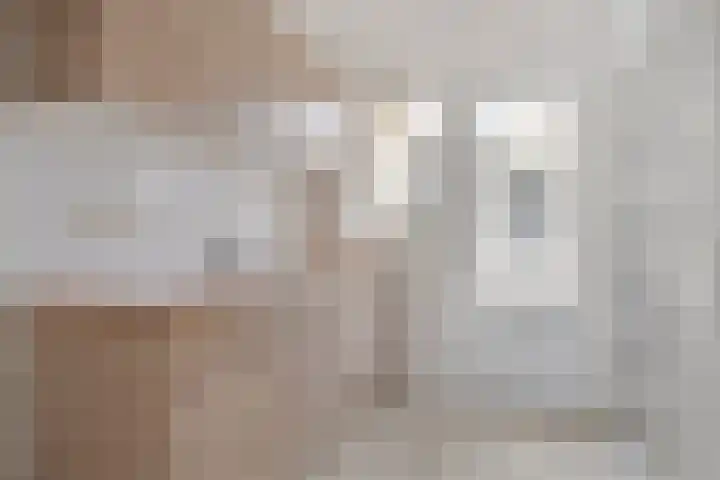 Steenvlietstraat 21 Rilland thumbnail 4