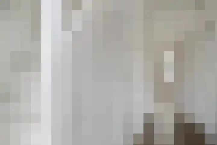 Steenvlietstraat 21 Rilland thumbnail 8