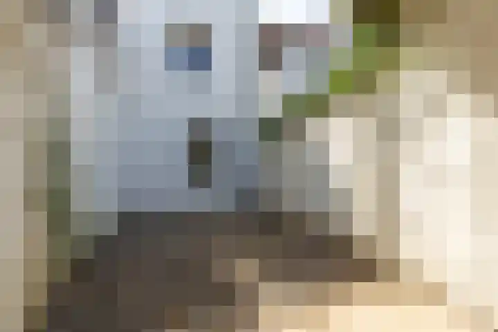 Steenweg 13 Sittard thumbnail 19